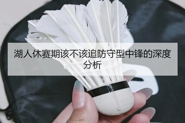 湖人休赛期该不该追防守型中锋的深度分析